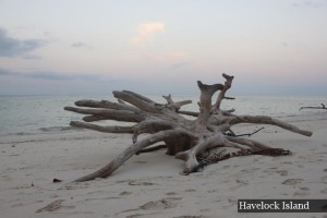 Beach 5 Havelock Island
